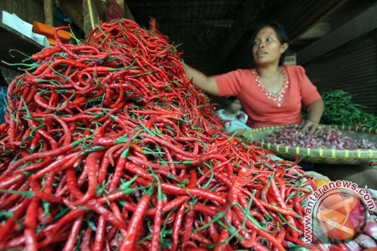 Harga cabai merah di beberapa daerah capai Rp60.000 per kg