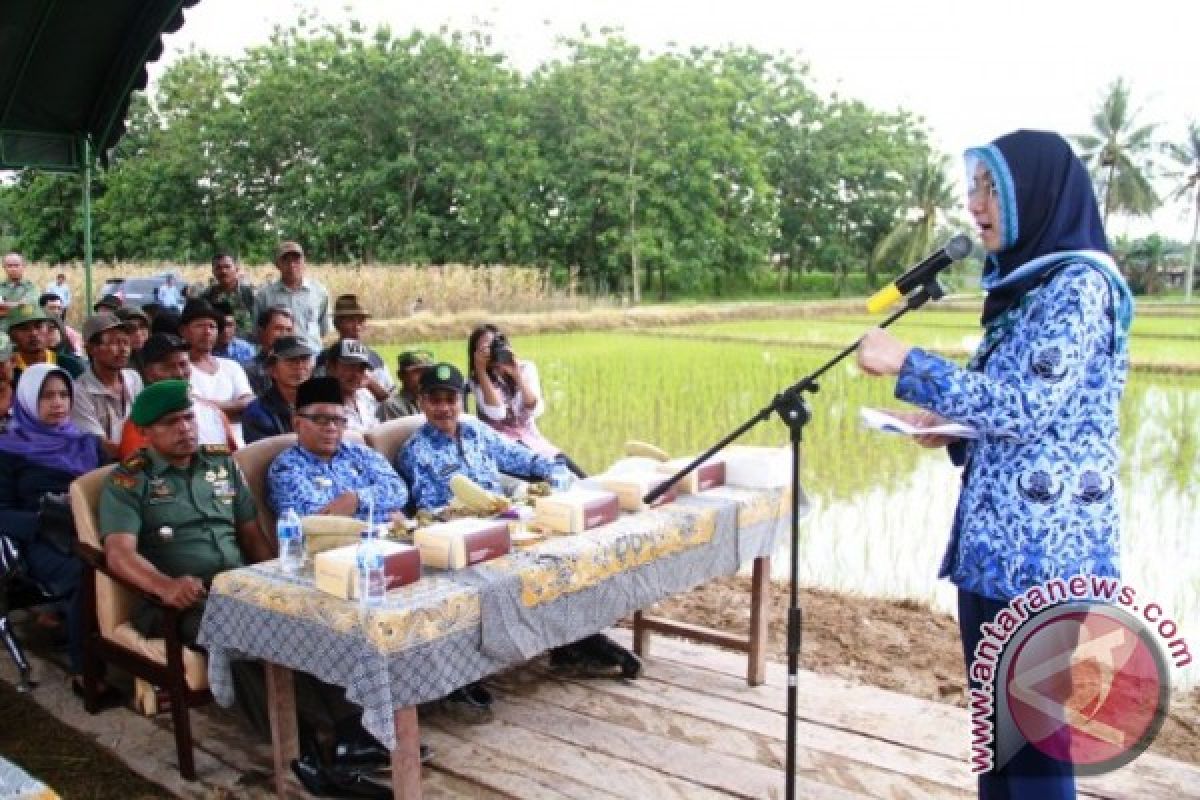 Rita Resmikan Pencanangan Pembangunan Irigasi Tersier 