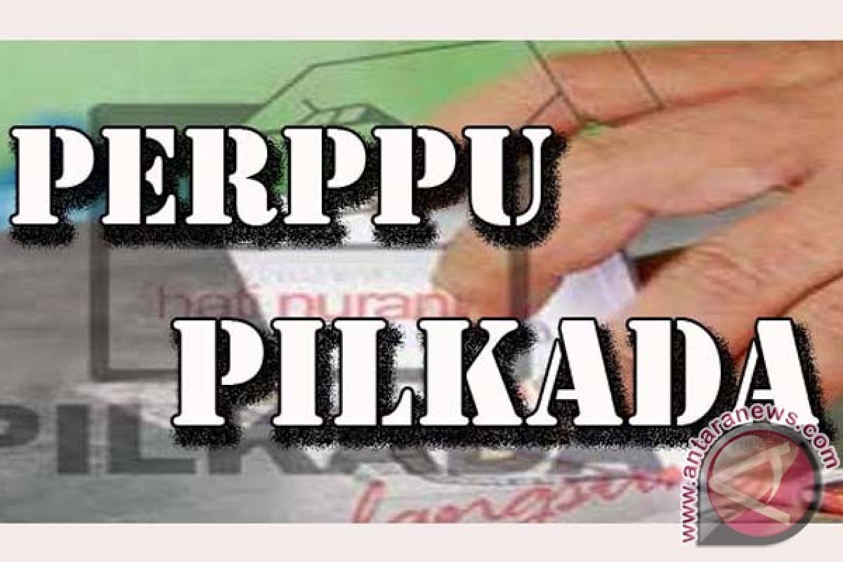 Pengamat : Perppu diperlukan untuk selamatkan pilkada