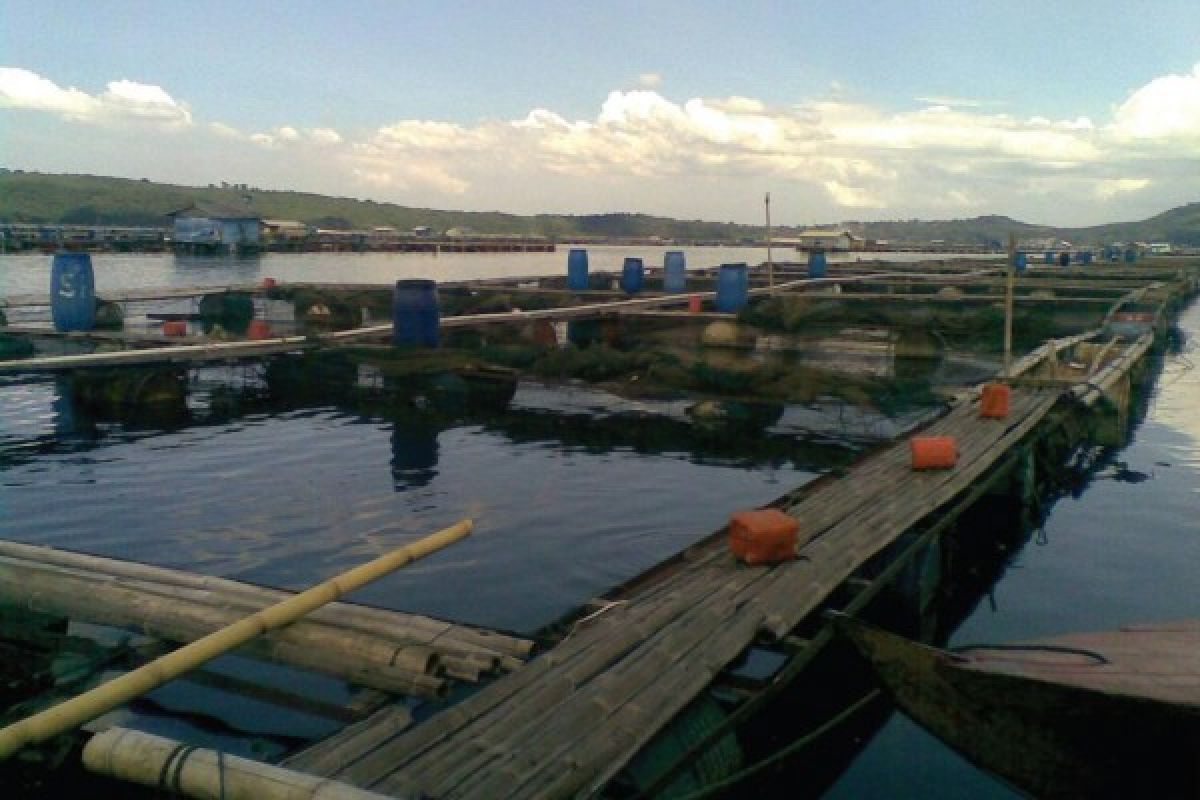 W Sumatra is Suitable for Seafish Cultivation
