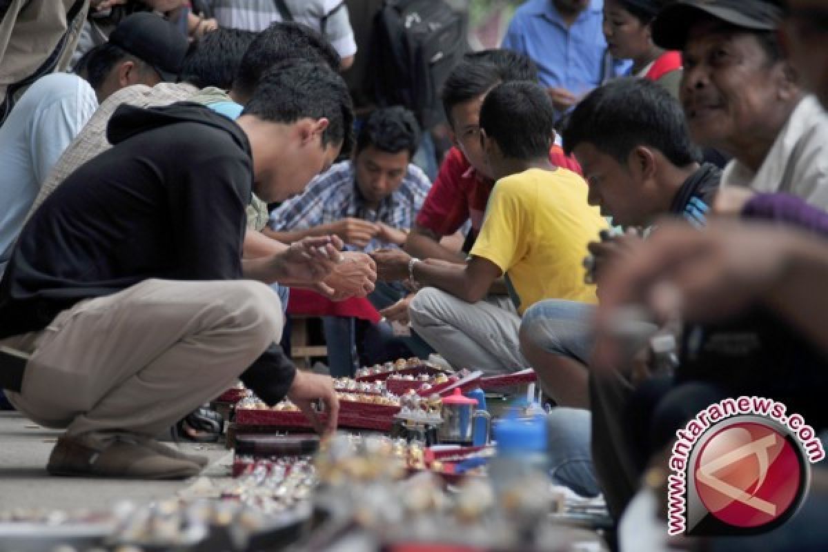 Batu akik Baturaja tersohor di Pulau Jawa