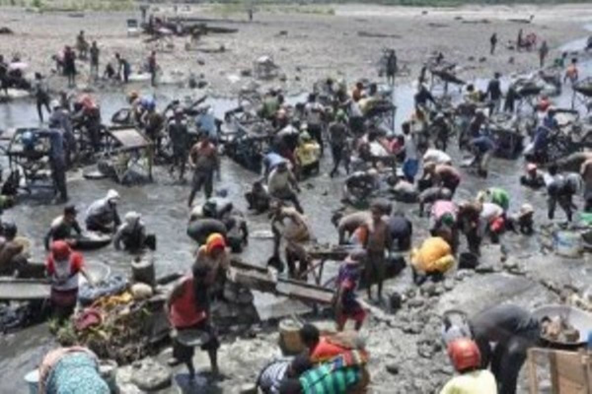 Ribuan pendulang emas ilegal padati Kali Kabur