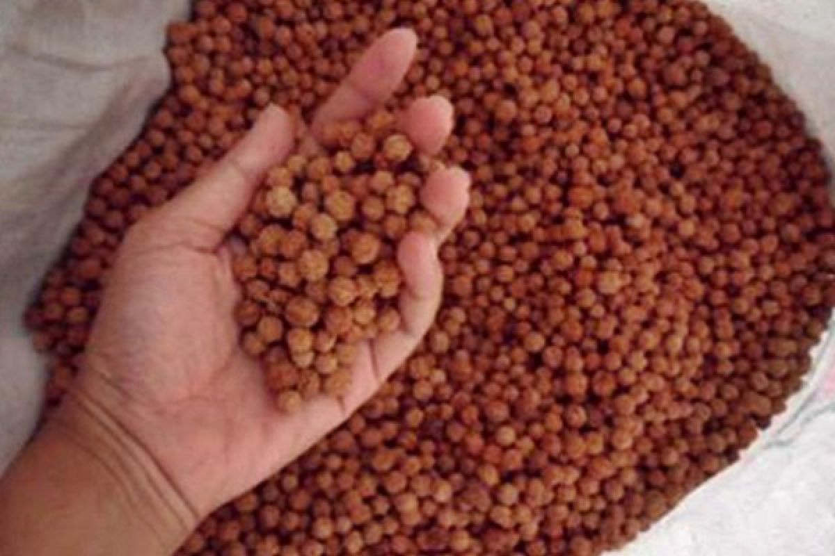 Kerajinan Biji Jenitri Tembus Pasar Mancanegara