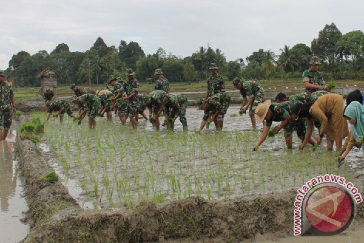 Kalteng Tiru Keberhasilan Swasembada Beras Kalsel