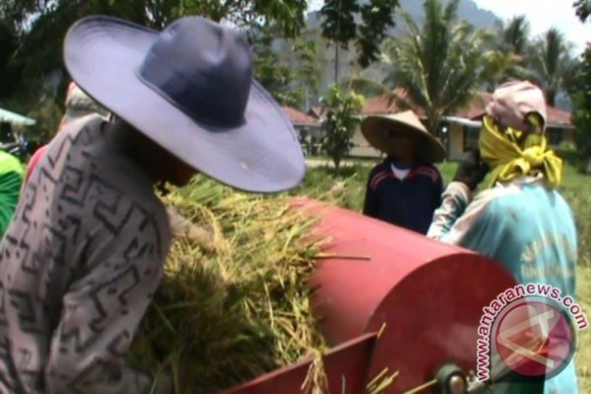 Petani harapkan irigasi di Bukit Kelam