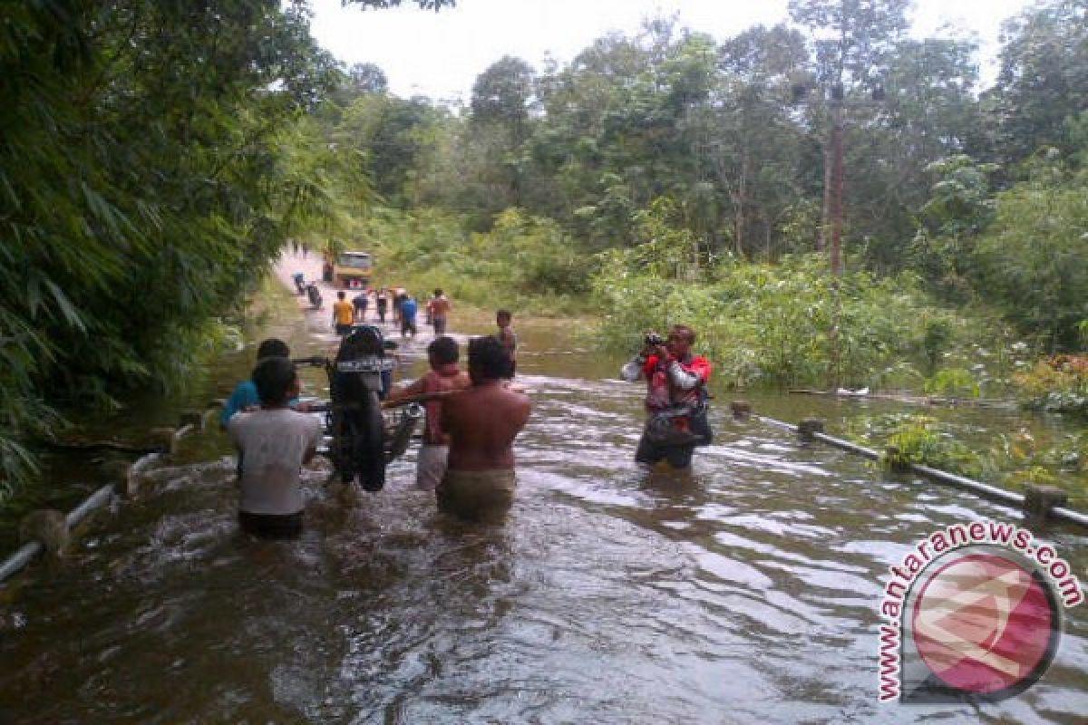 Puluhan Hektare Lahan Di Bonti Puso