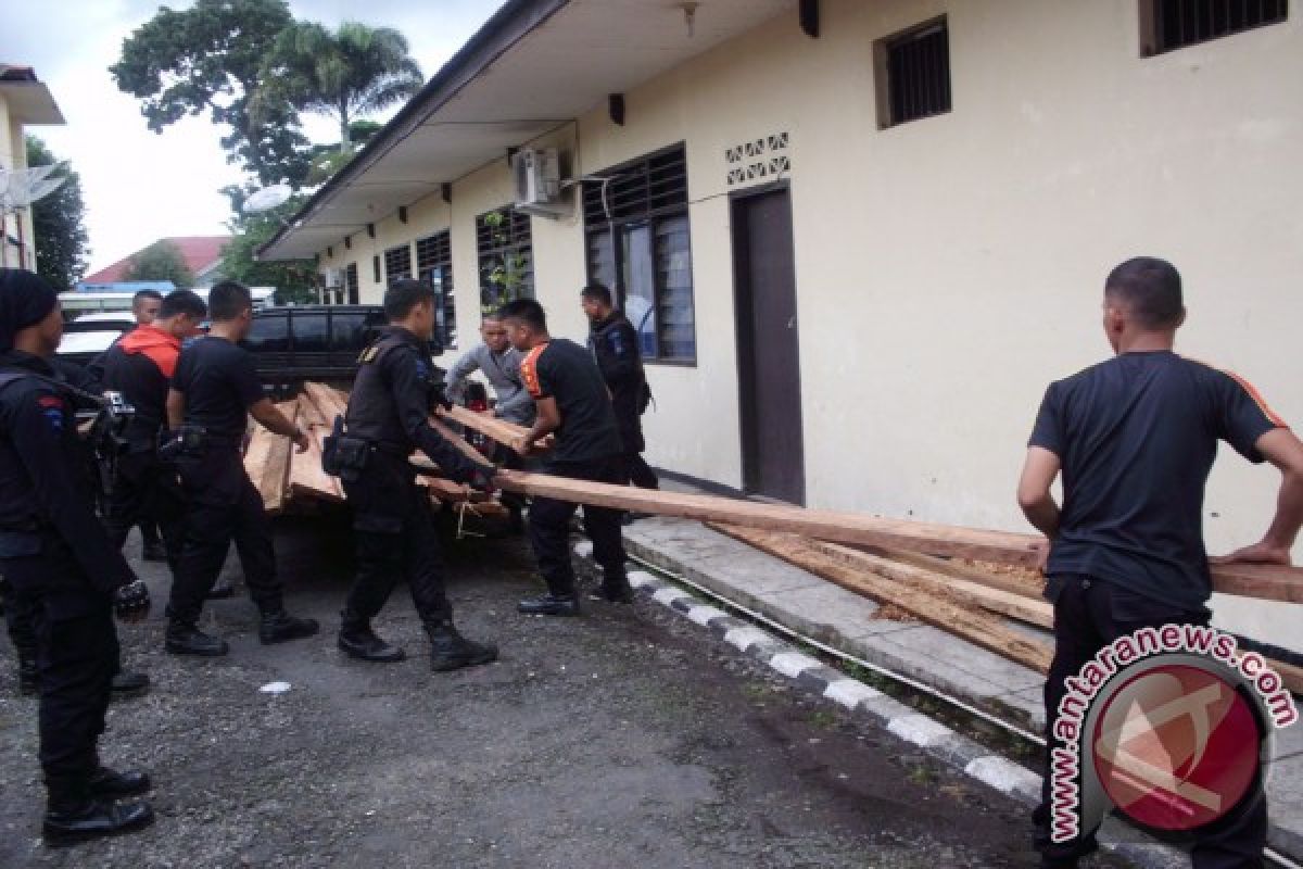 Brimob Polda Bengkulu tangkap pelaku illegal logging 