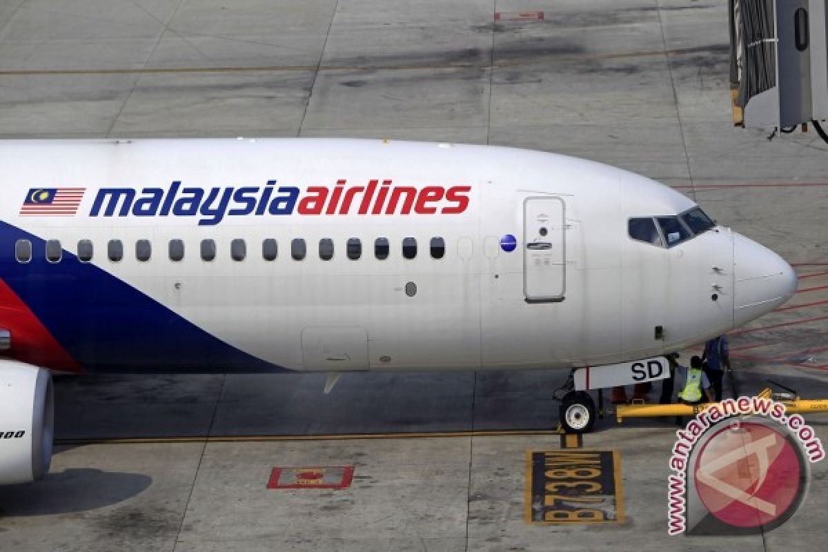 Situs Malaysia Airlines Jadi Target Kelompok Peretas 