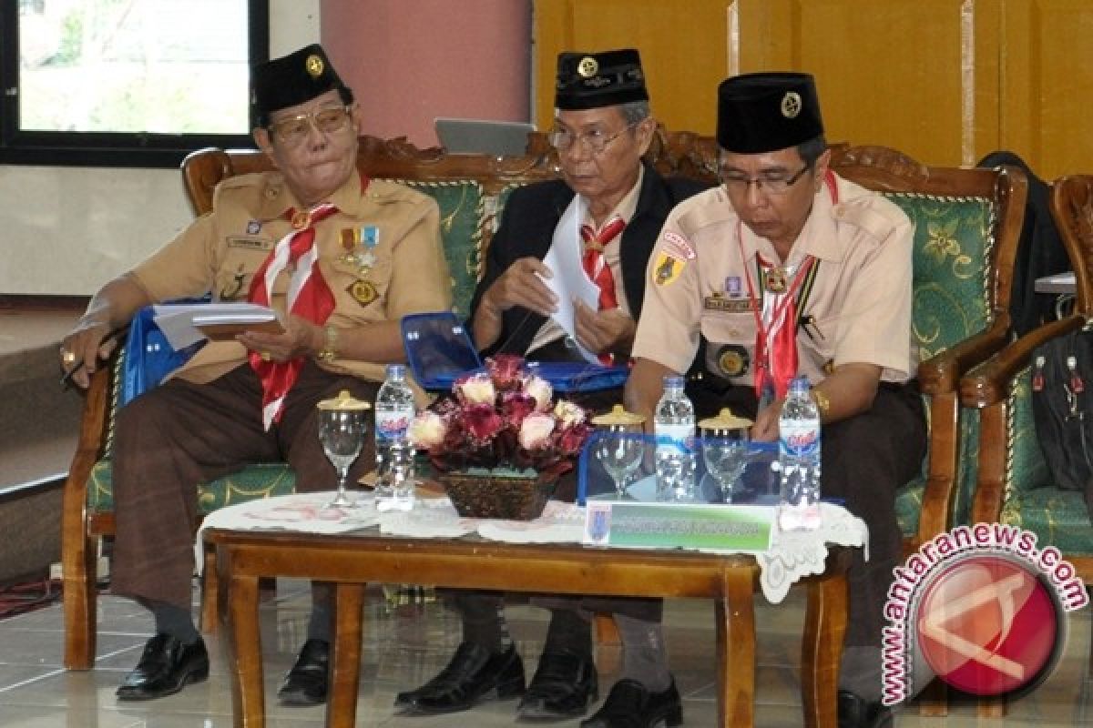 Kader PPP Ikut Pilgub Kalsel