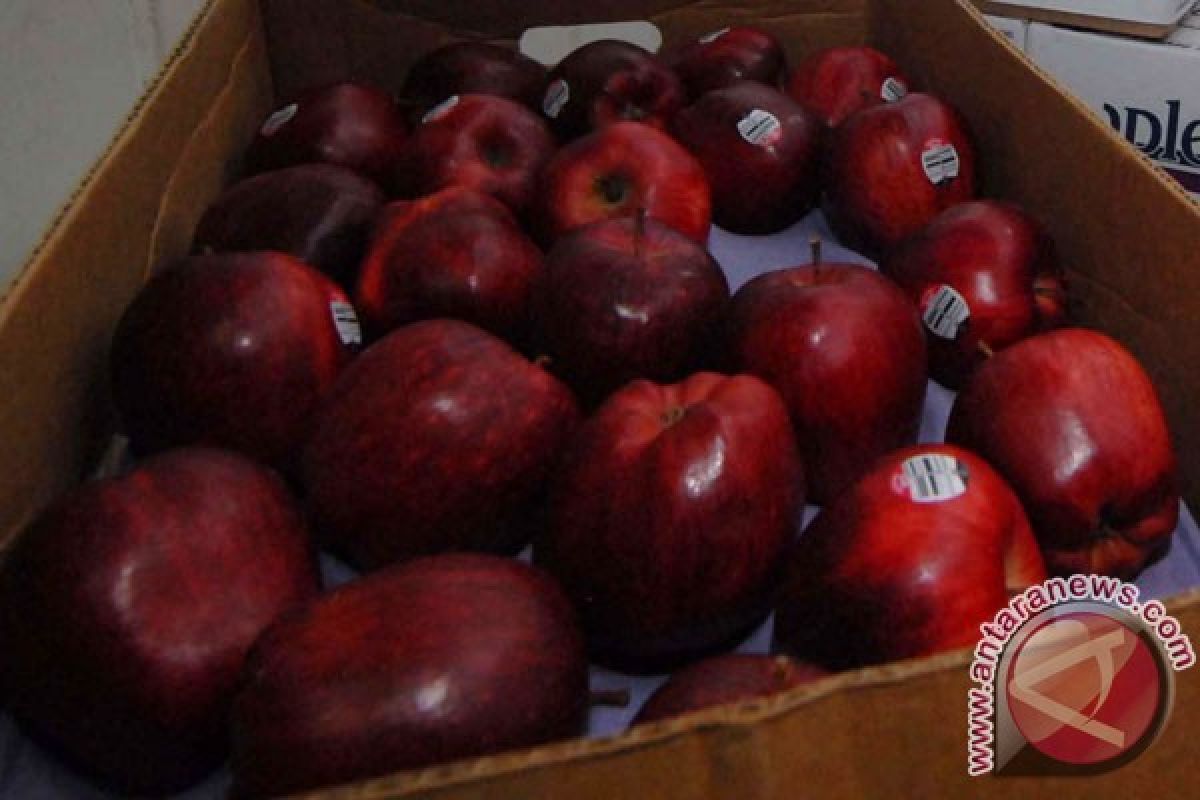Pengakuan pedagang buah Nunukan mengenai apel asal AS
