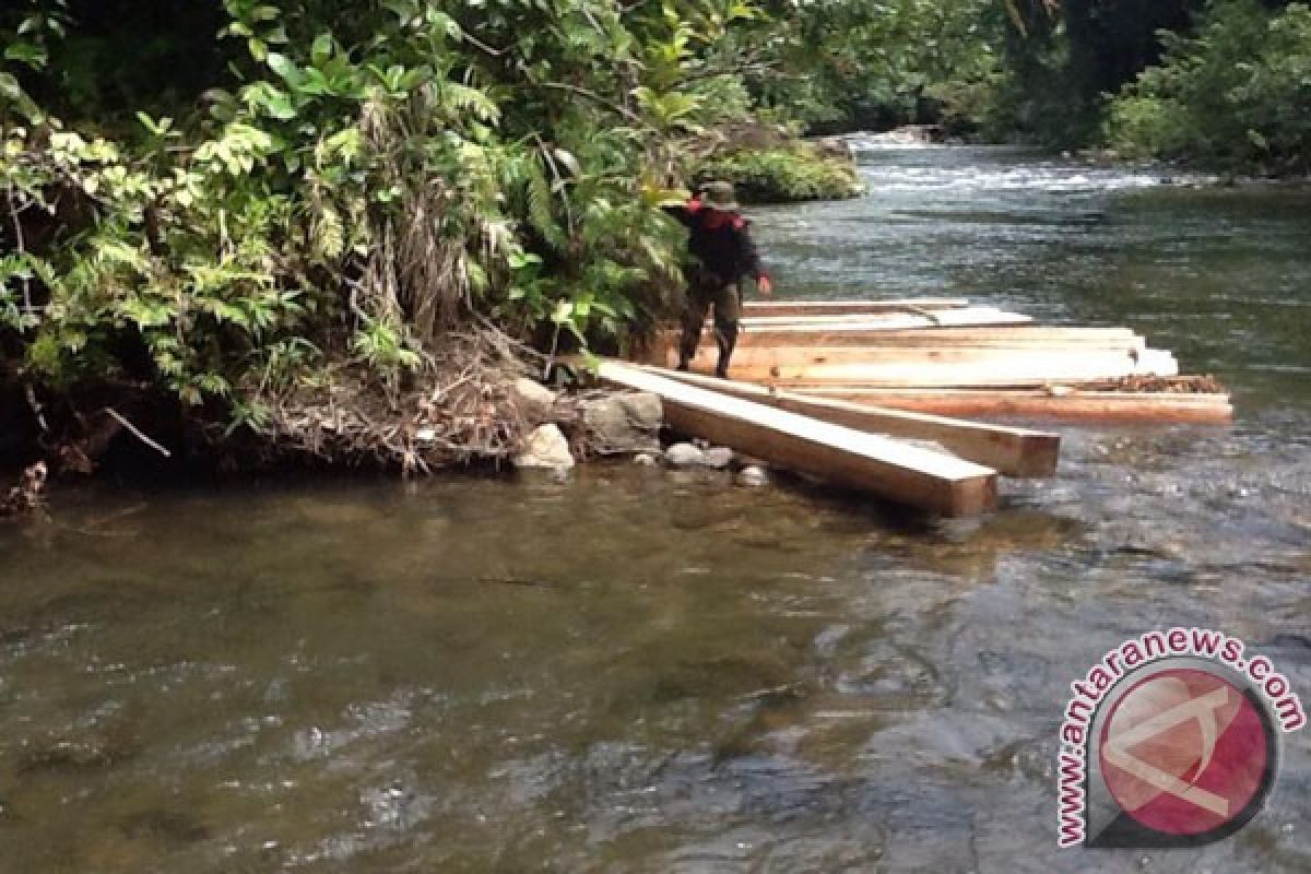 LSM: Pencurian kayu di TNKS masih marak