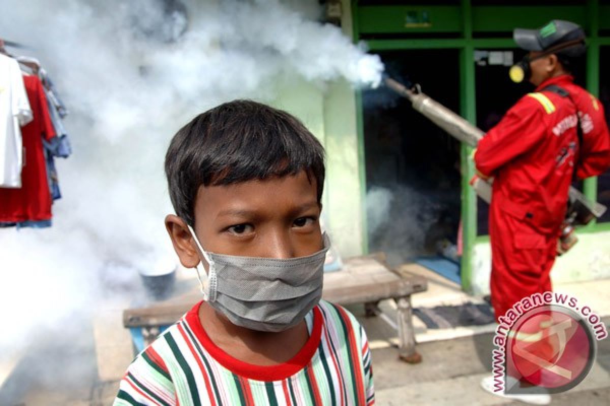 UGM kembangkan imun penjinak nyamuk aedes aegypti