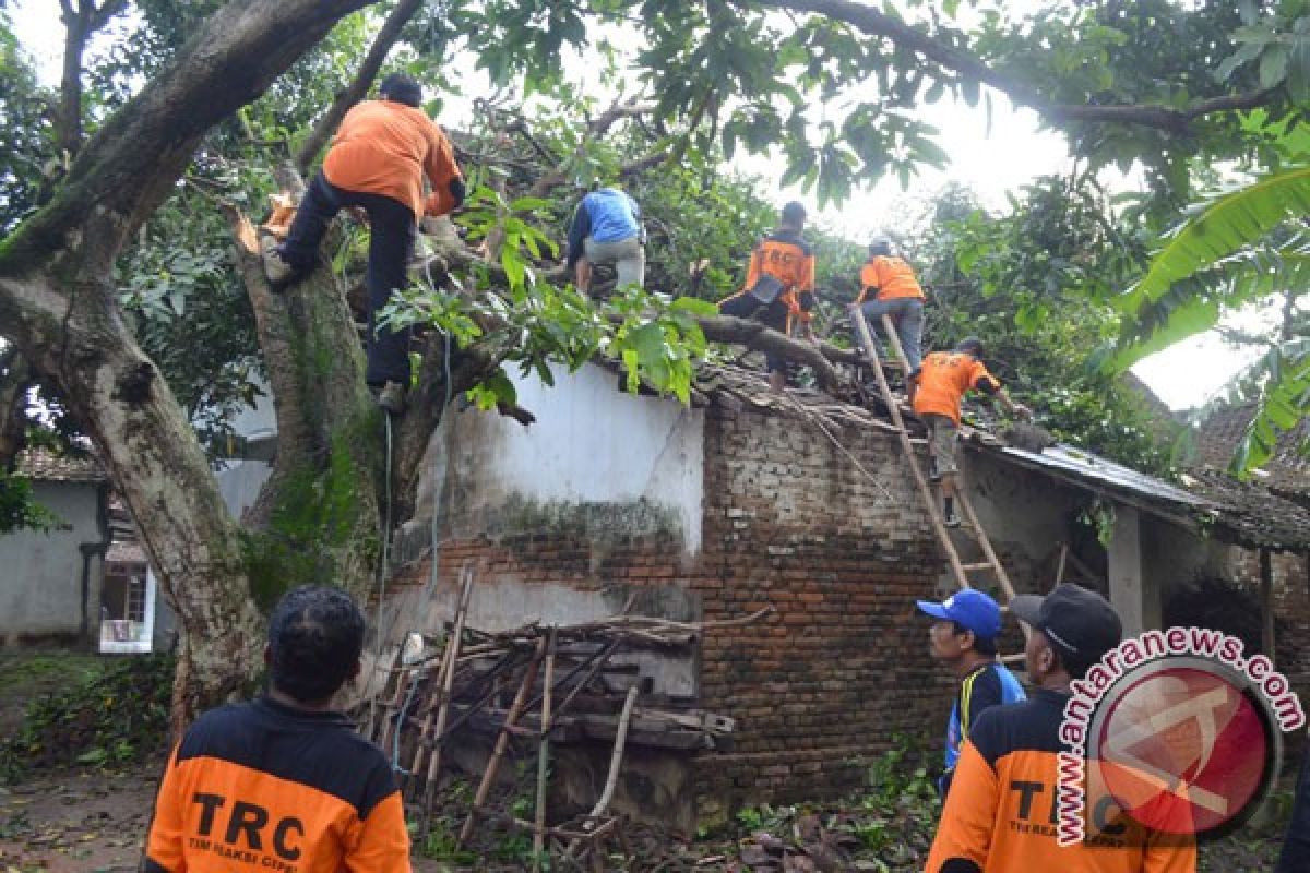 BPBD Kediri tangani pohon ambruk timpa rumah