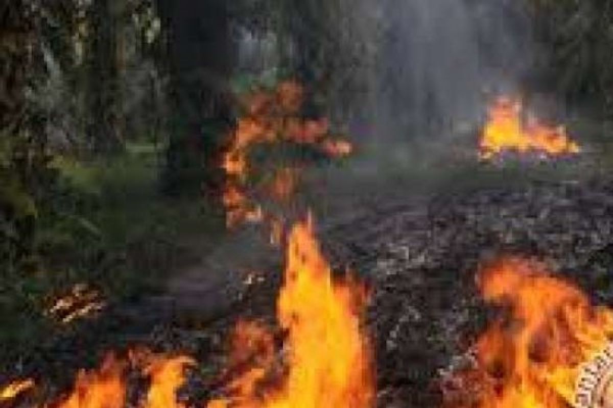 BPBD Bengkalis Imbau Masyarakat Tidak Lakukan Pembakaran