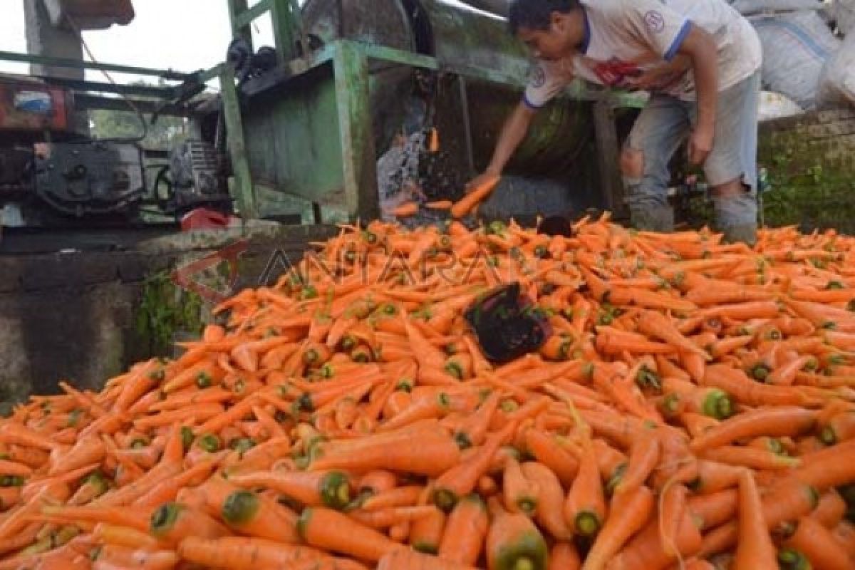 Kenaikan Harga Pertamax dan Wortel Dongkak Inflasi Madiun