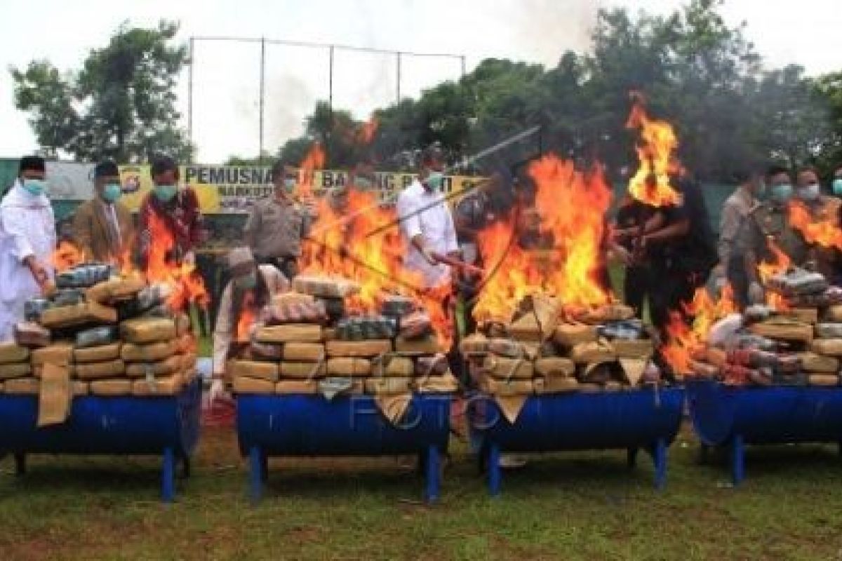 Polda Banten Musnahkan Barang Bukti Ganja 155 KG