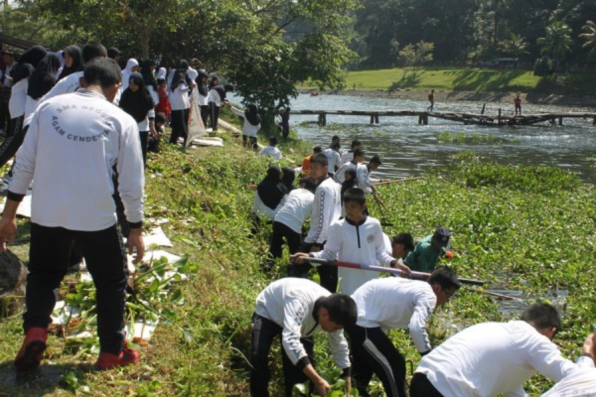 Buah Simalakama Danau Maninjau