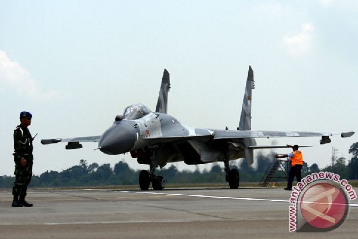 TNI AU Inginkan Pesawat F-5 Tiger Masuki Masa Pensiun