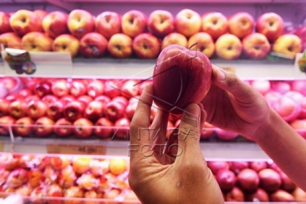 Sampel apel di DIY negatif bakteri listeria