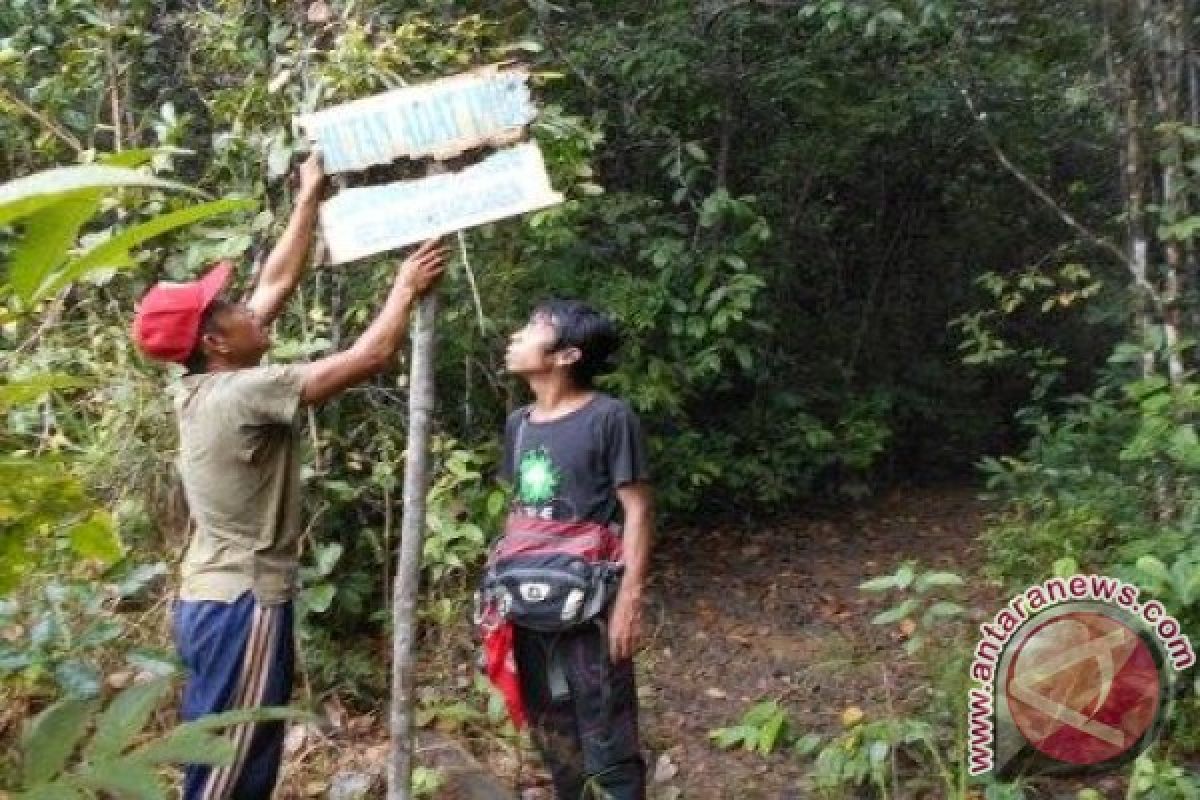 Patok Batas Hutan Bangka Barat Banyak Hilang