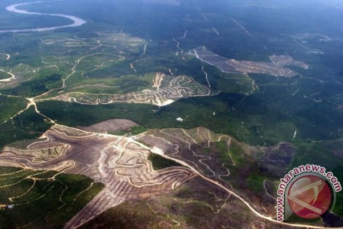  Selamatkan Hutan, Selamatkan Kekayaan Negara