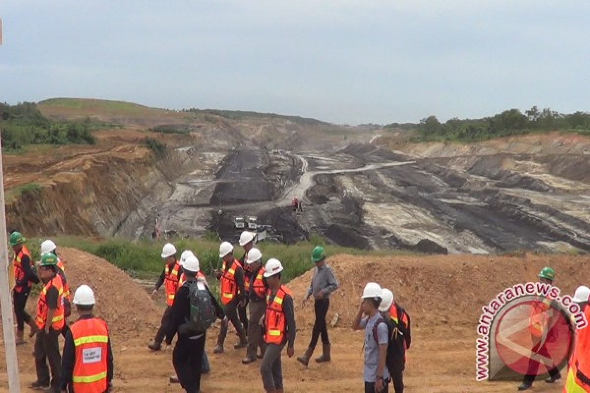 PETI Kembali Rambah Kawasan Tambang Arutmin