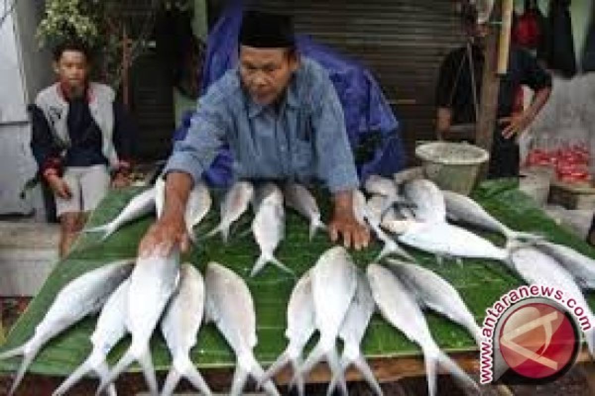 Harga Ikan Segar Di Tolitoli Naik 100 Persen 