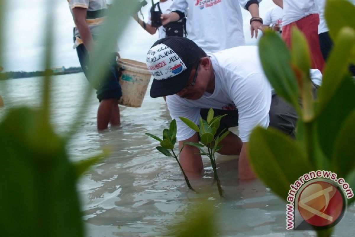 Polair Polda Babel Tanam 1.000 Pohon Mangrove