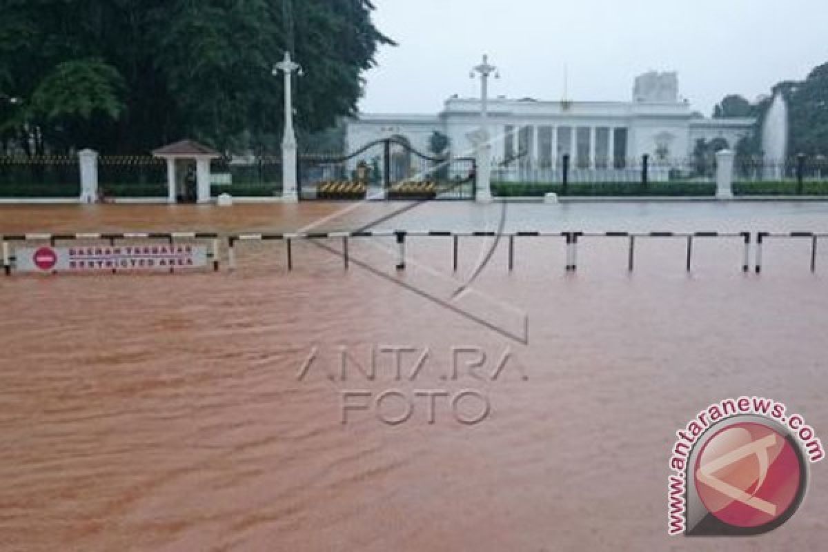 Jokowi akan Undang Ahok Bahas Banjir