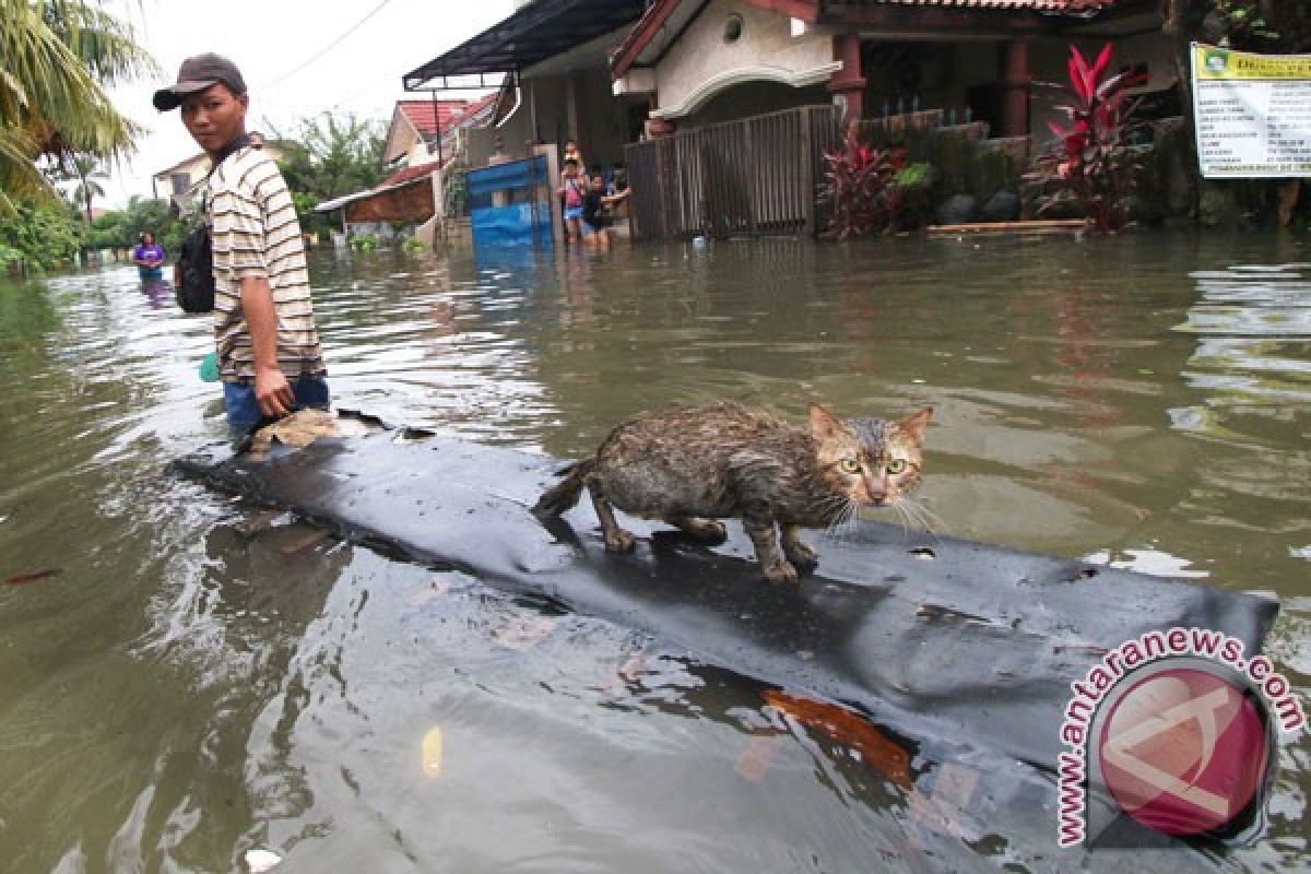 Pengungsi banjir Manokwari mencapai 1.000 jiwa