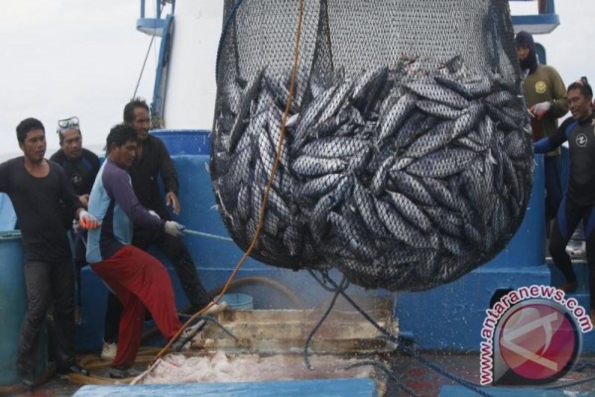 Tangkapan Nelayan Sungailiat 117.225 Kilogram Ikan