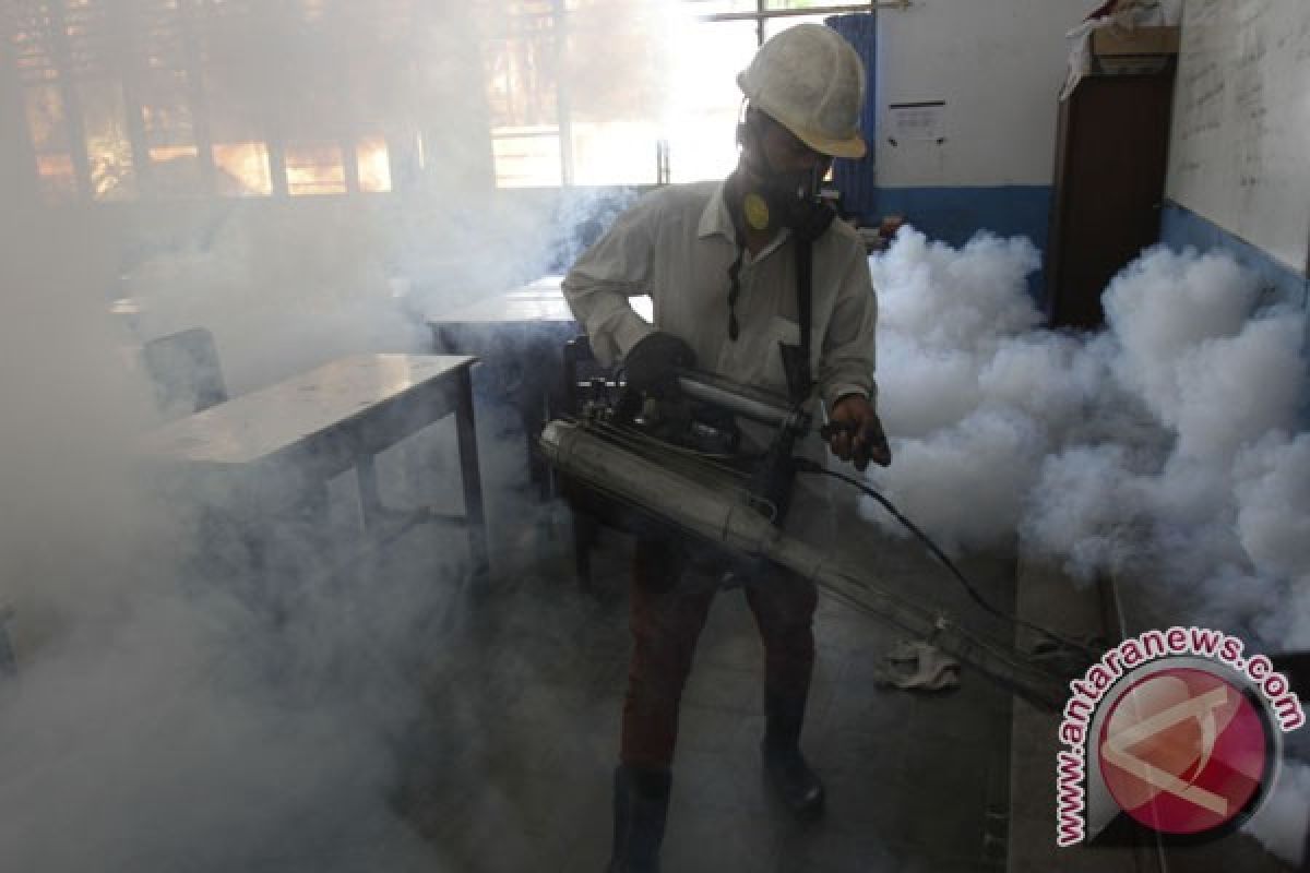 Toddler dies of dengue in C. Sulawesi