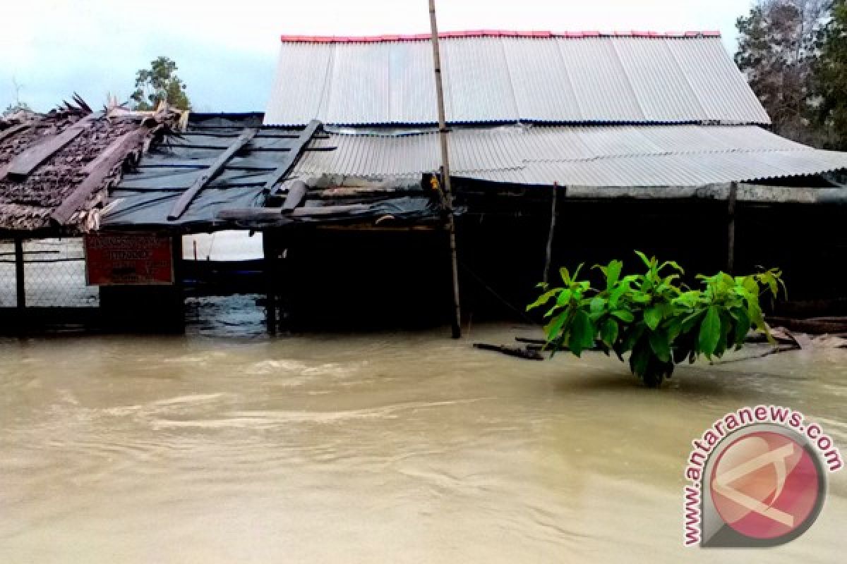 Ratusan Hektare Sawah Bangka Barat Terendam Banjir