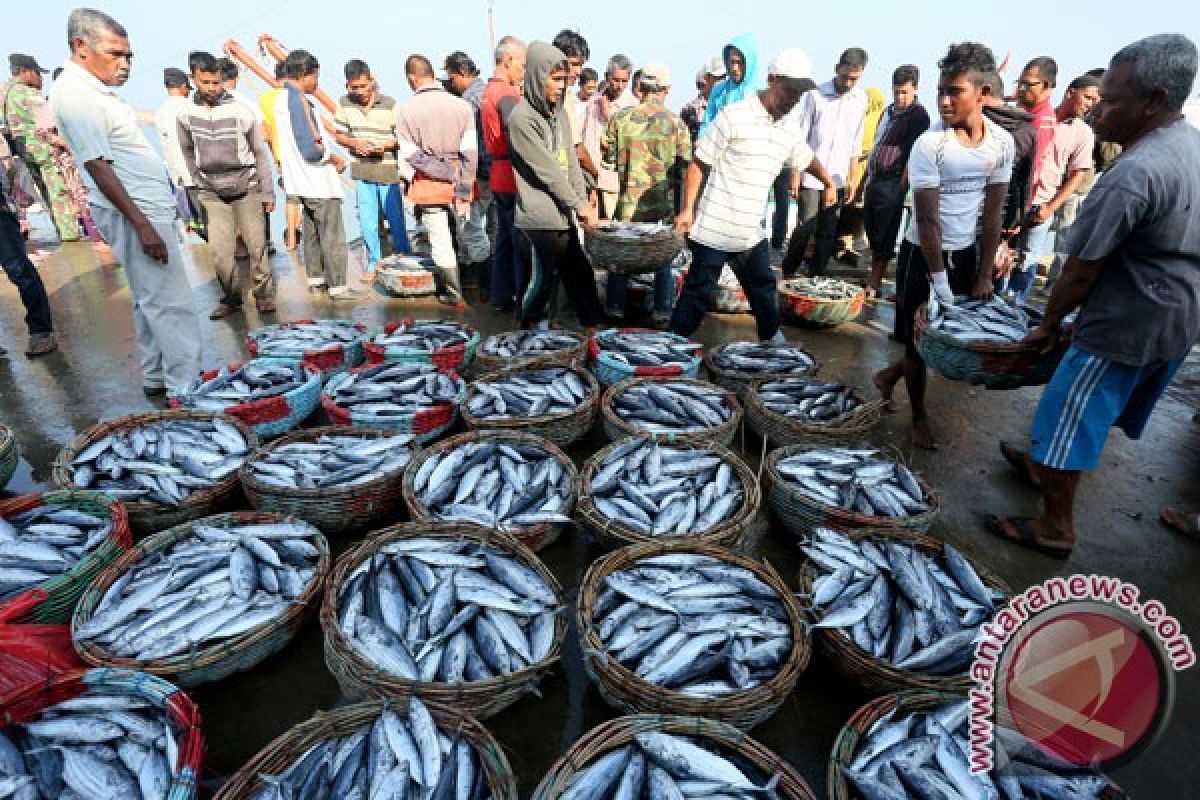 Indonesian ministry reinforces networks of fish meal producers