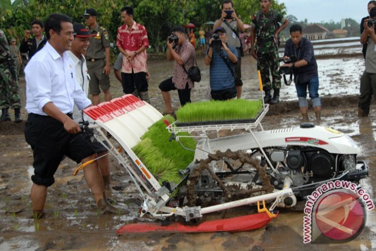 Mentan canangkan gerakan tanam padi di Lampung