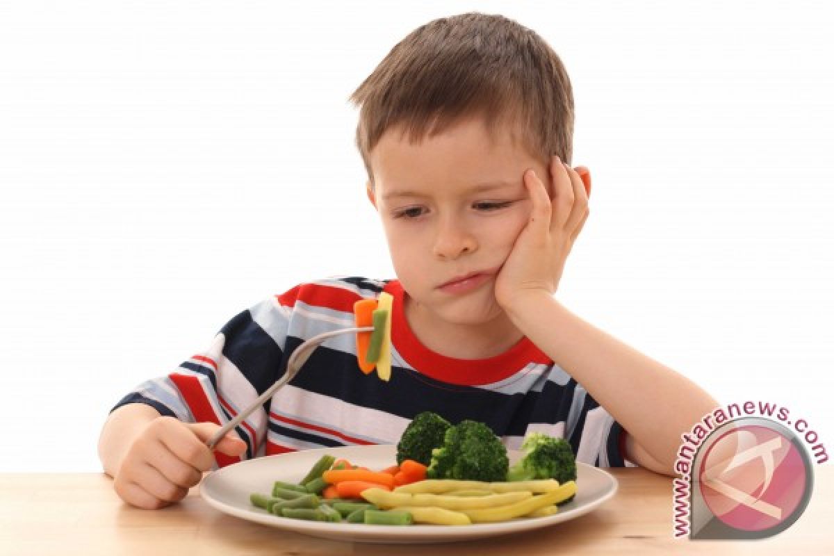 Siasat Hadapi Anak Susah Makan