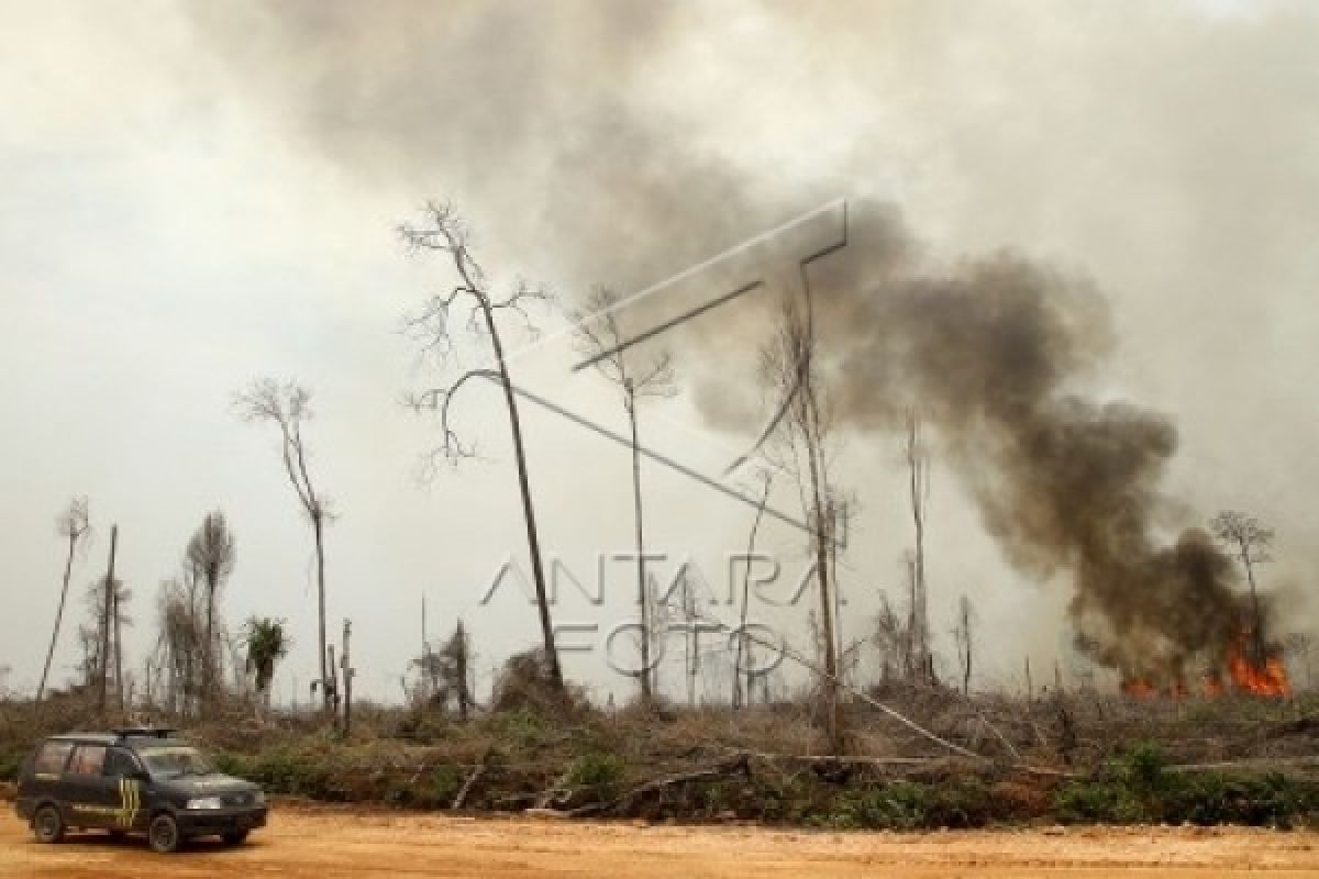 Sudah 231 Titik Api, Presiden Panggil Siti Nurbaya Terkait Kebakaran Hutan