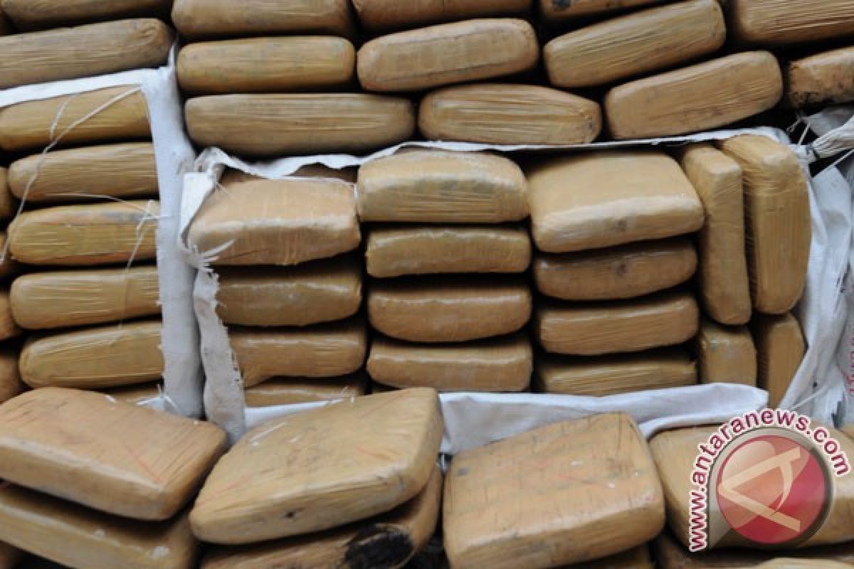 Polresta Banda Aceh gagalkan pengiriman 72 kg ganja