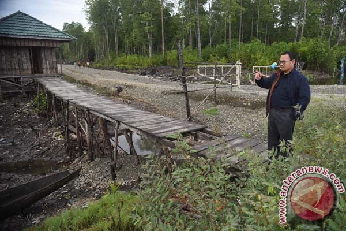 Menteri ESDM: Smelter akan dibangun di Timika