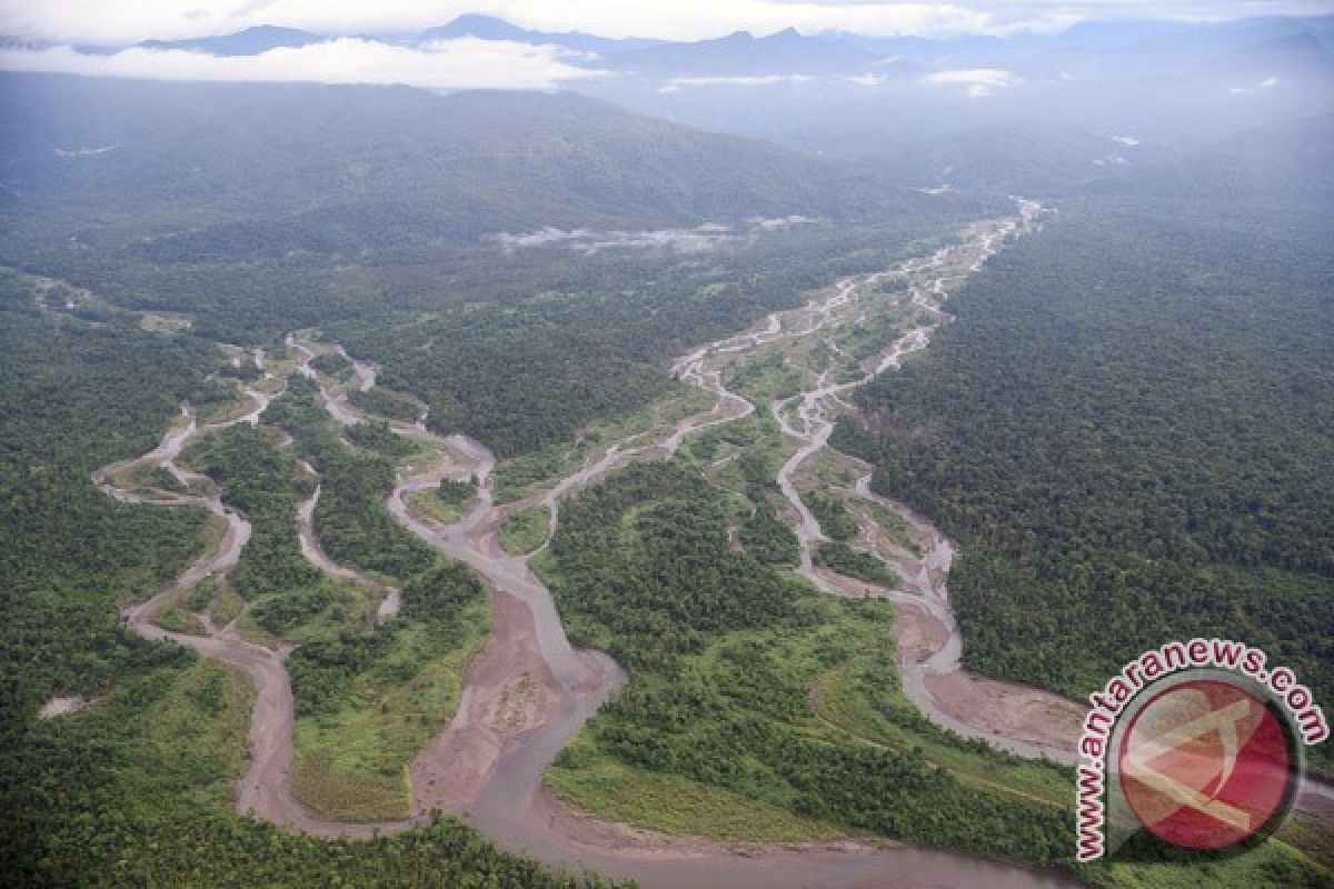 Freeport: kematian massal ikan akibat fenomena alam bukan limbah tailing