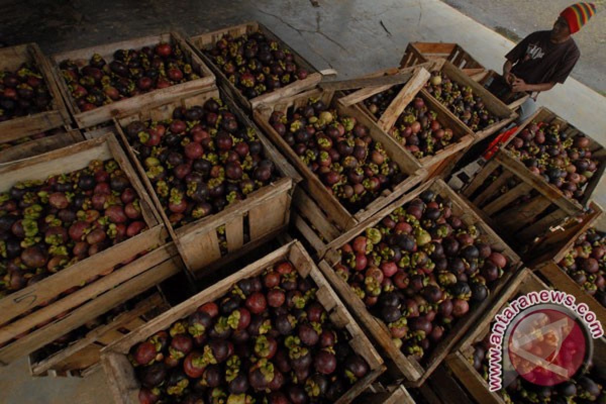 China izinkan lagi Indonesia ekspor manggis