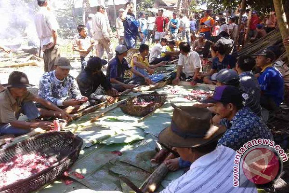 Suku Dayak Meratus Upacara Adat Membatur