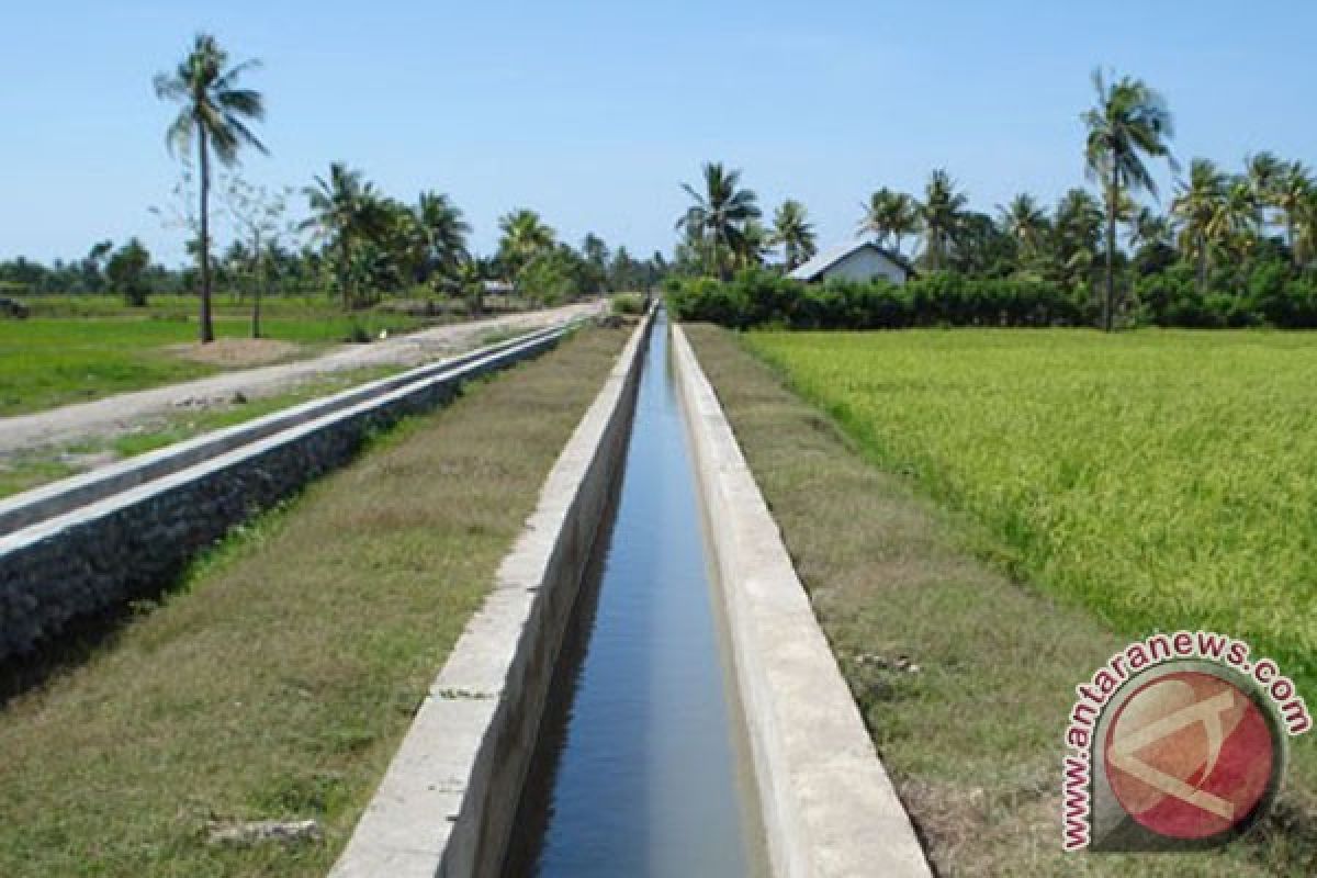 Bengkulu perbaiki irigasi tersier 35 ribu hektare