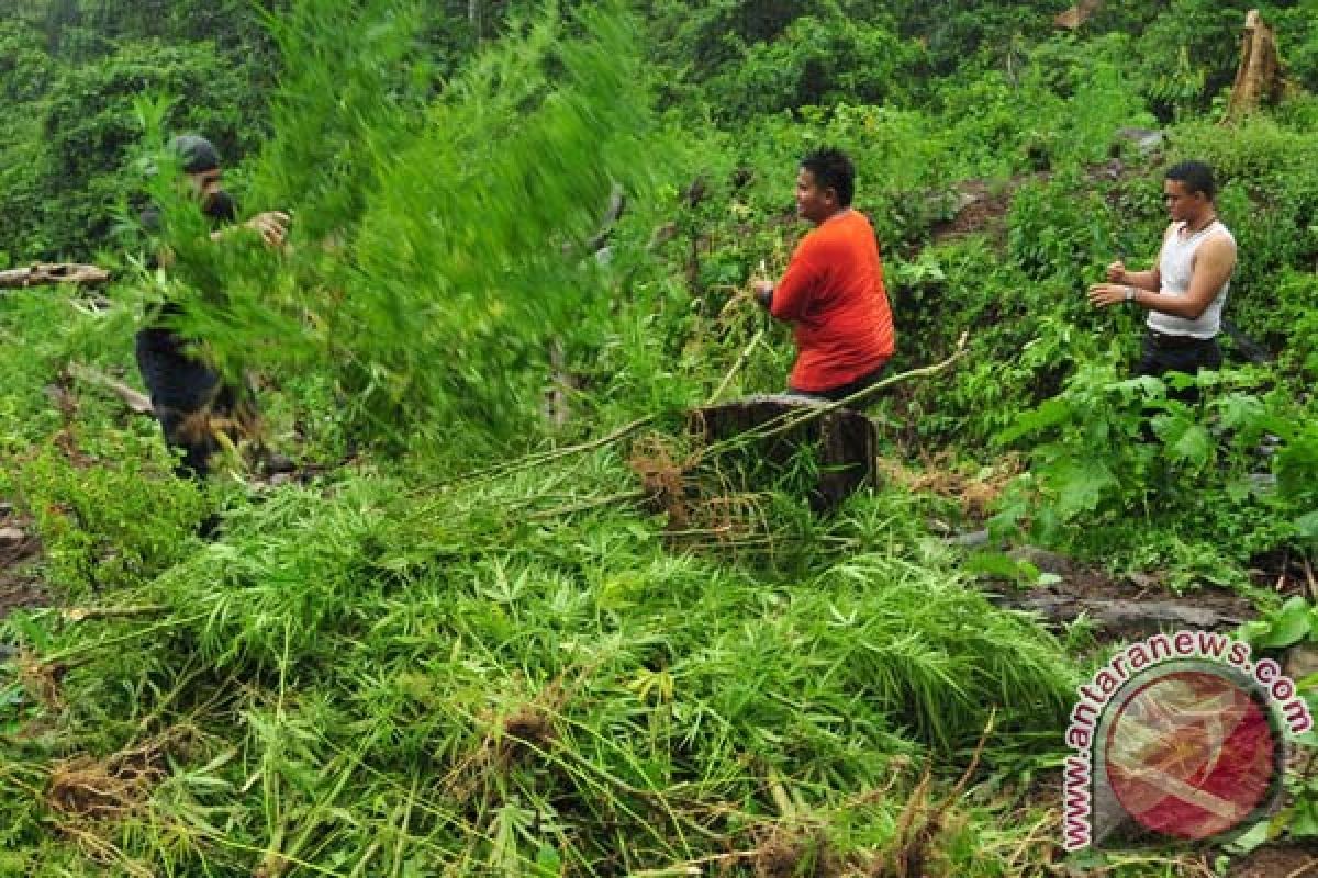 BNN intensifkan program pemberdayaan alternatif