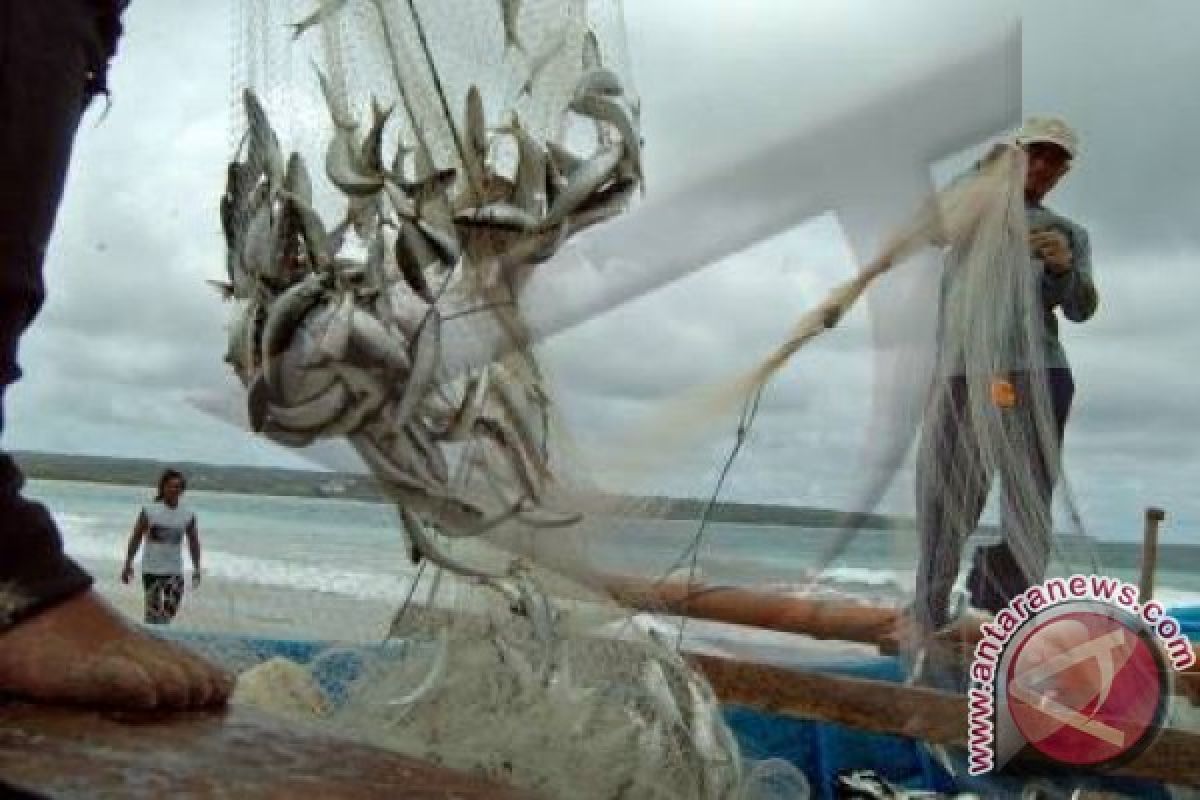 Ikan Kaleng Raup 22,05 Juta Dolar