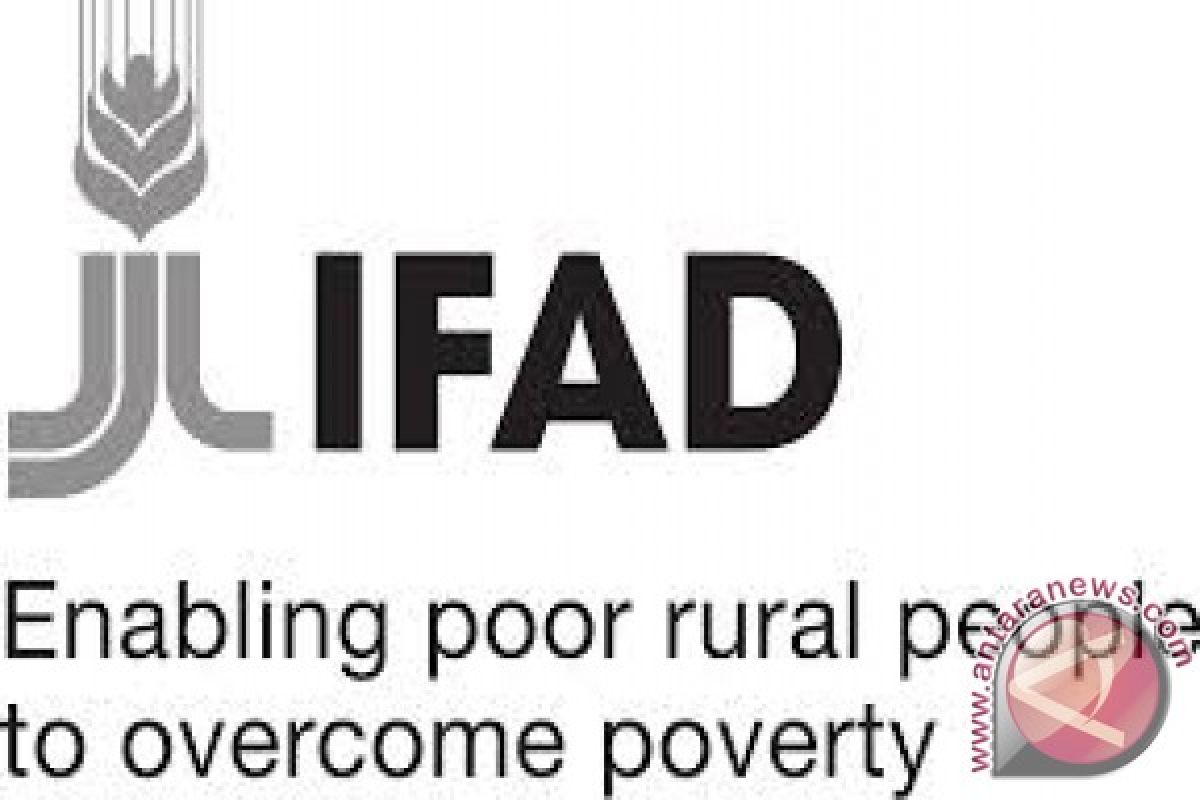 IFAD Bentuk 94 Kelompok Masyarakat Penerima BLM