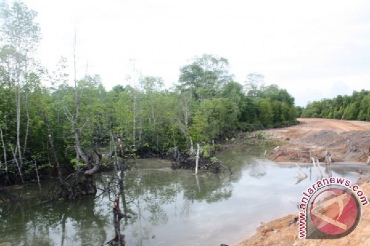 Puluhan Ribu Tanaman Mangrove Terancam Hilang 