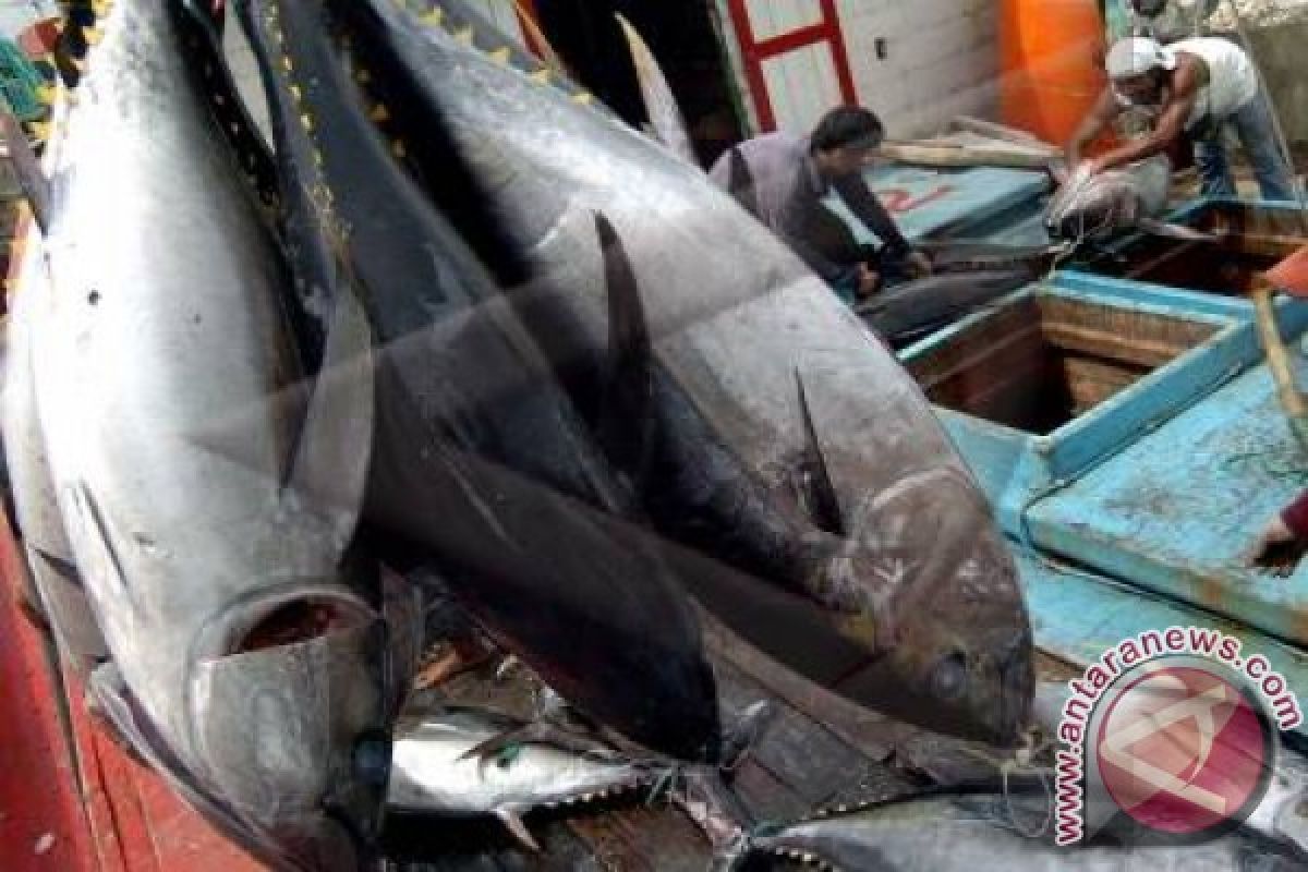 ATLI Evaluasi Mogok Tangkap Tuna 