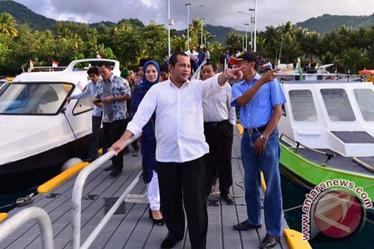 Menteri desa: bantuan sapi ternak akan diteruskan