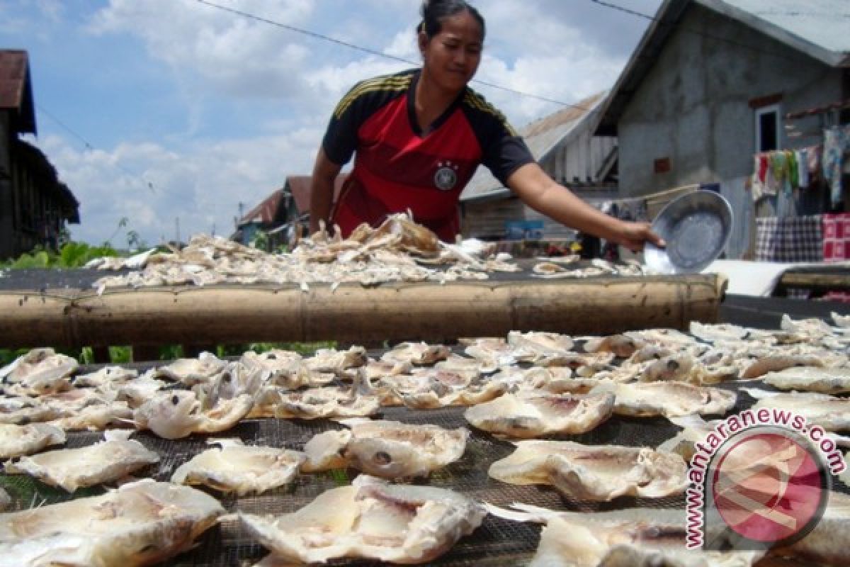 Produksi teri pulau pasaran anjlok akibat cuaca